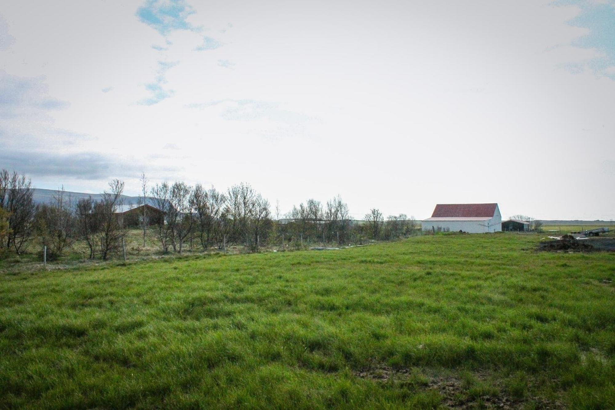 Sun-Cottage South Iceland Olfus Esterno foto